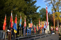 20181111_Ceremonie Souvenir (177)