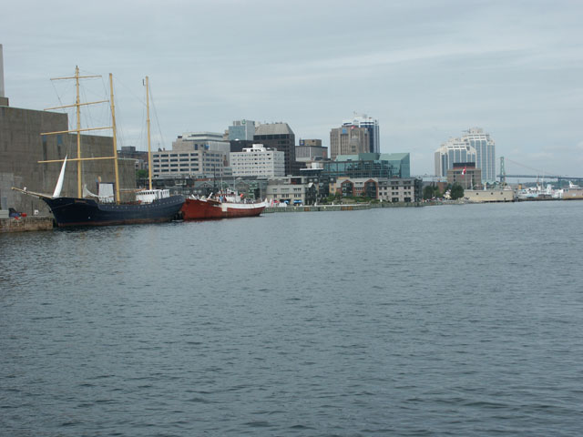 Whales-036