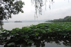 dscn0935