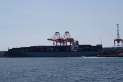 SONY DSC