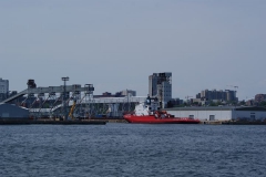 SONY DSC