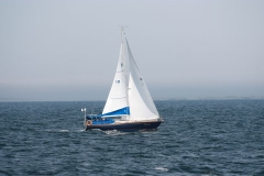 6-juillet088