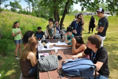 8-juillet066
