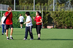 SONY DSC