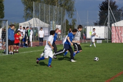 SONY DSC