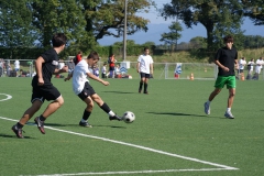 SONY DSC