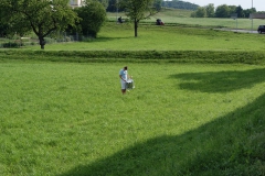 SONY DSC
