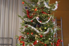 SONY DSC