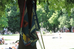 drap